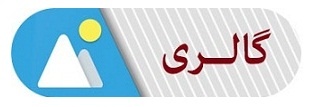 گالری تصاویر